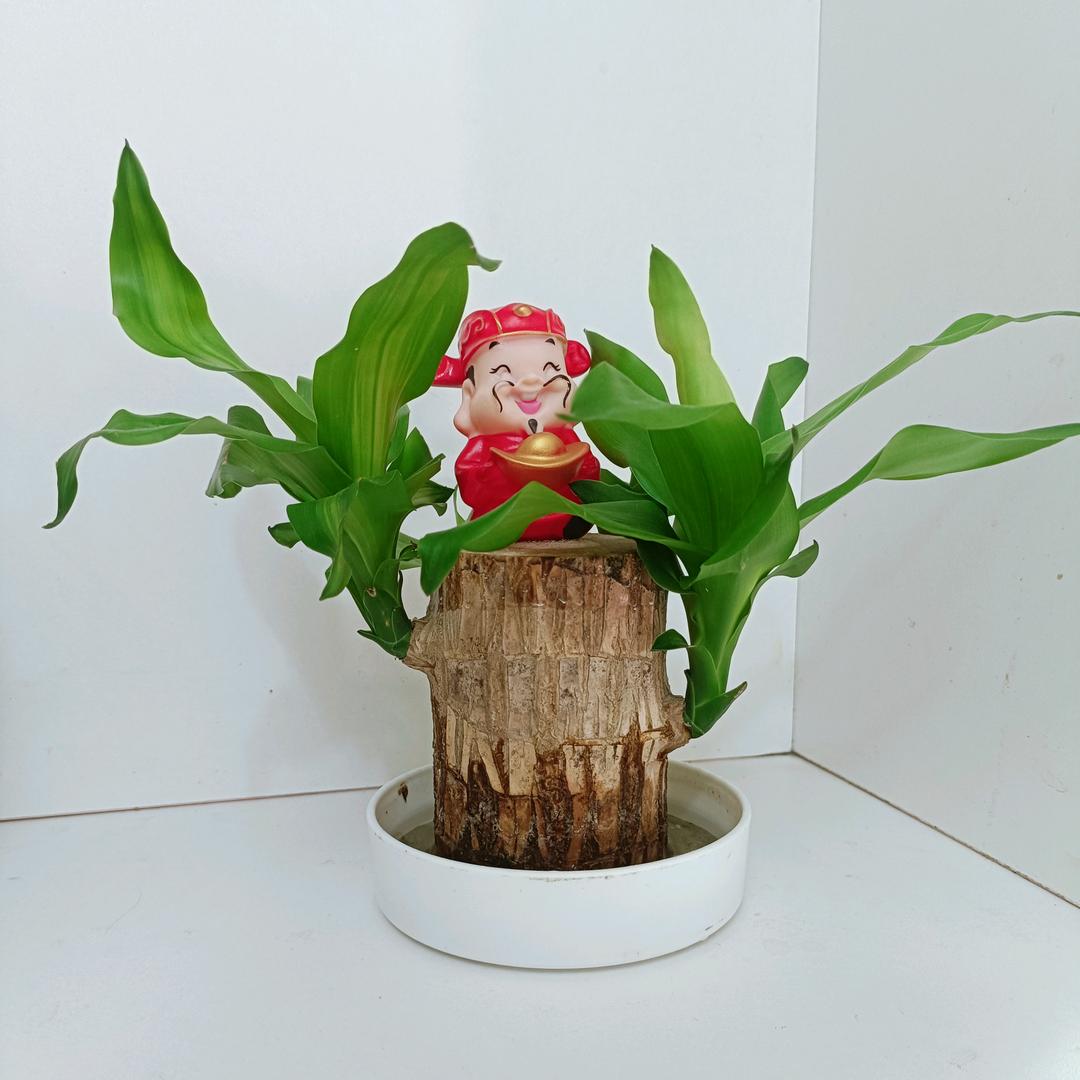 何武器