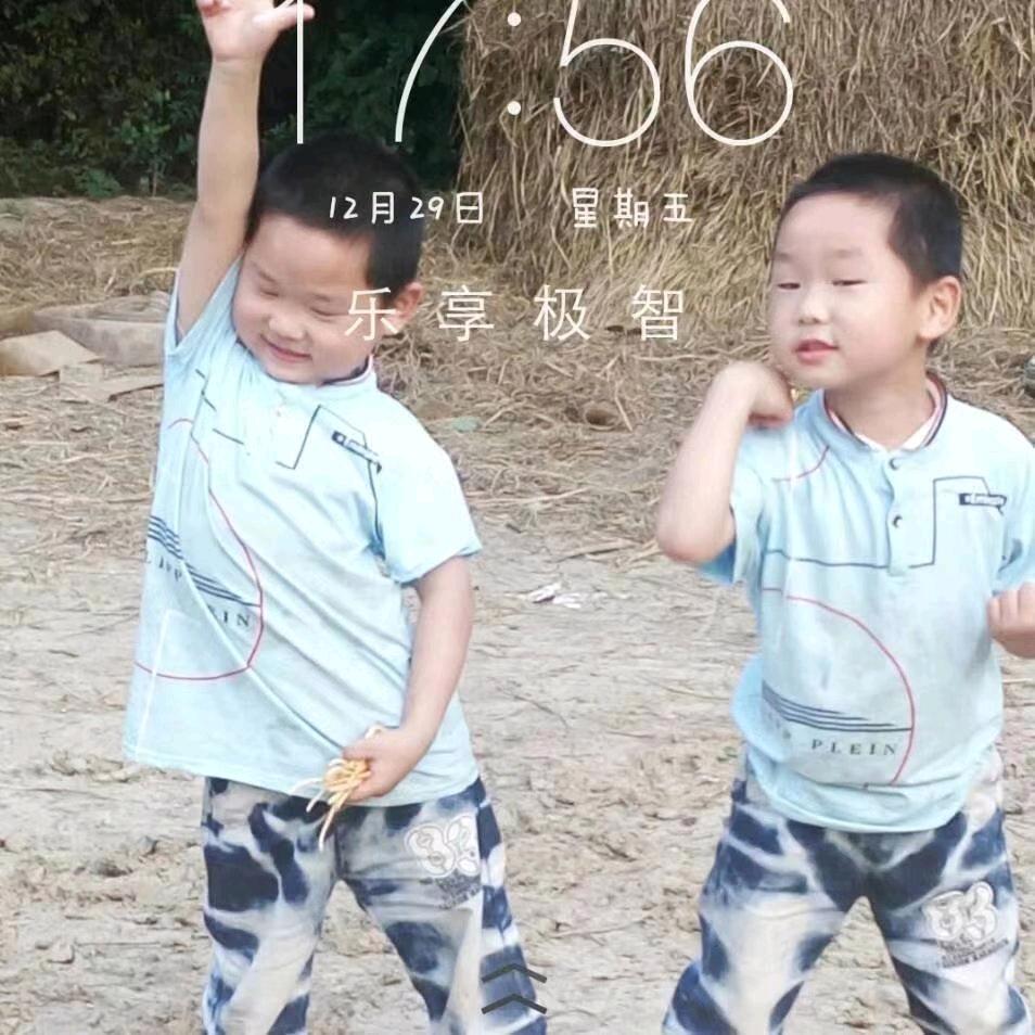 赵琴