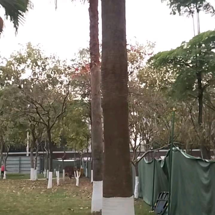 平凡的我