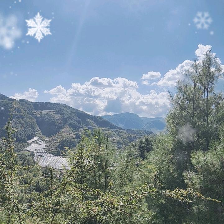 宝宝