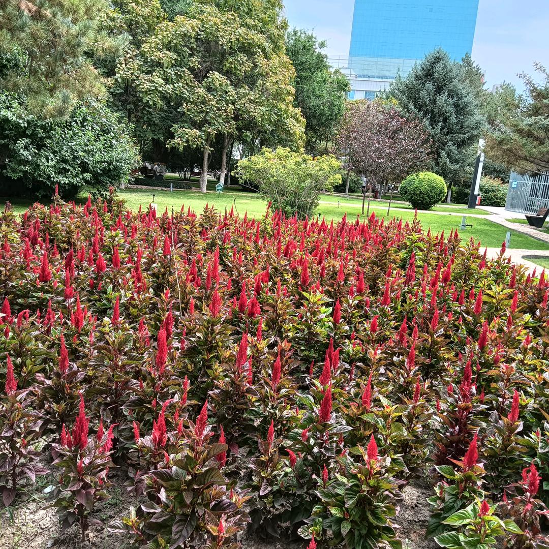 与众不同，珍珍