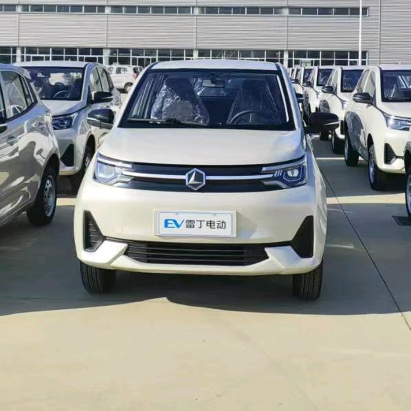桓台雷丁电动汽车