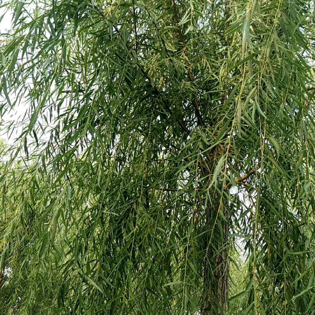 高高兴兴过好每一天