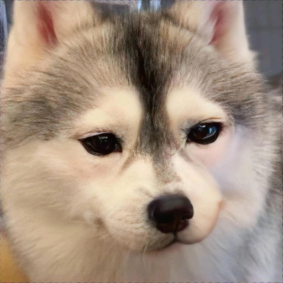 杺刼