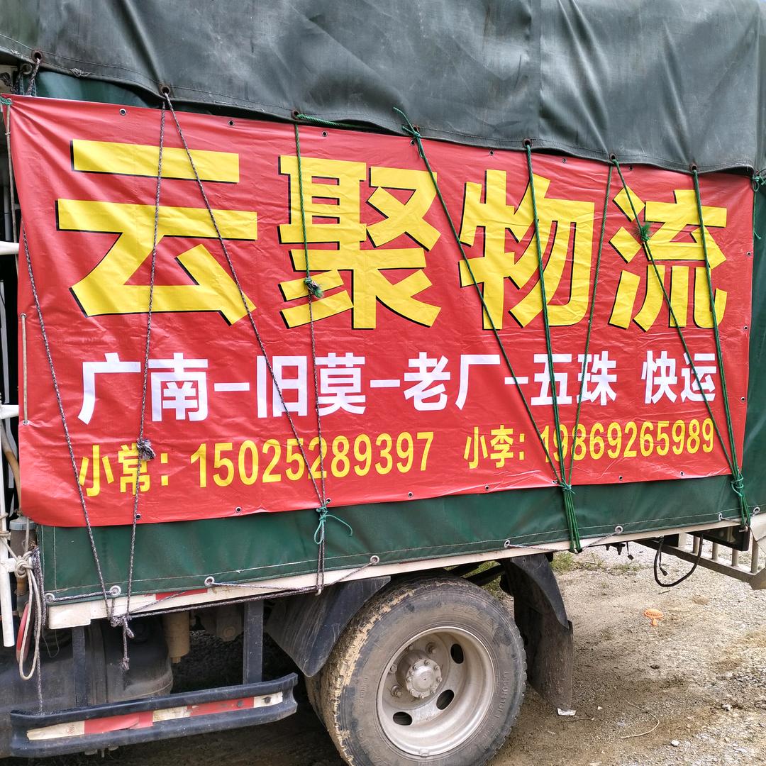 今天好运