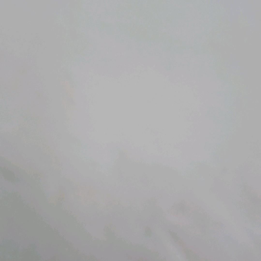 晶