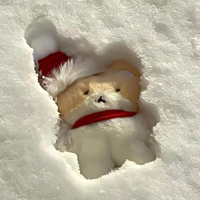 余兮兮哈哈哈