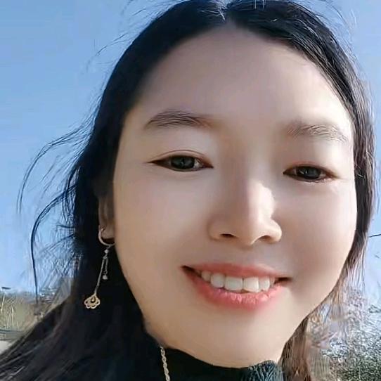 王登会7289282750291