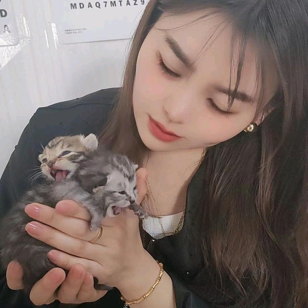 各色聚丙颗粒（连赞拉黑）