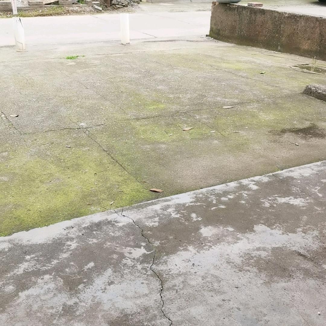 ଲ   ଇଲ   ଲ    ଇ𒅌꧂