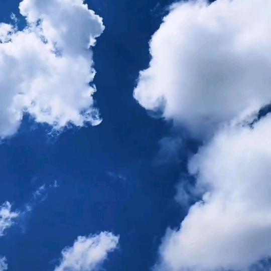 云谈风轻之孔雀东南飞