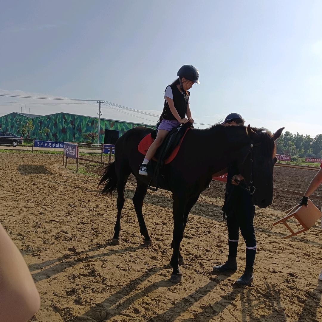 卞路口乡丹舞舞蹈室