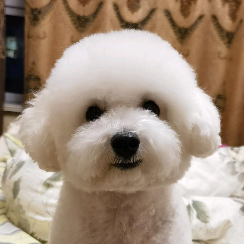 六一不是儿童节～🐾