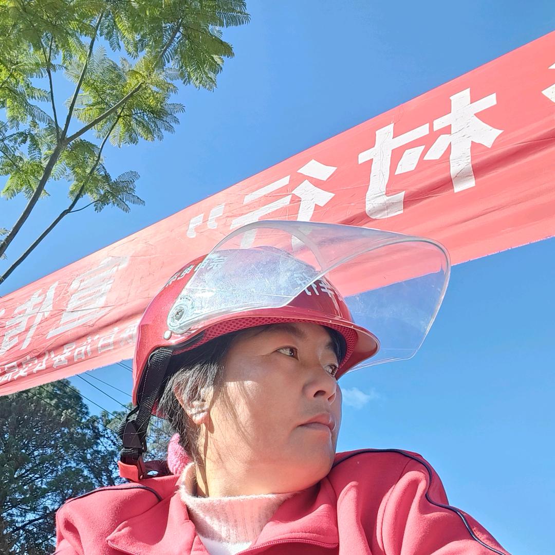 阿丽