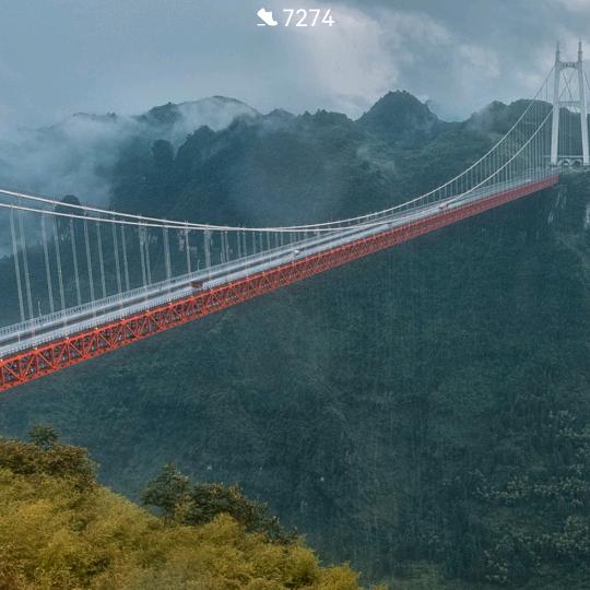 楠烟