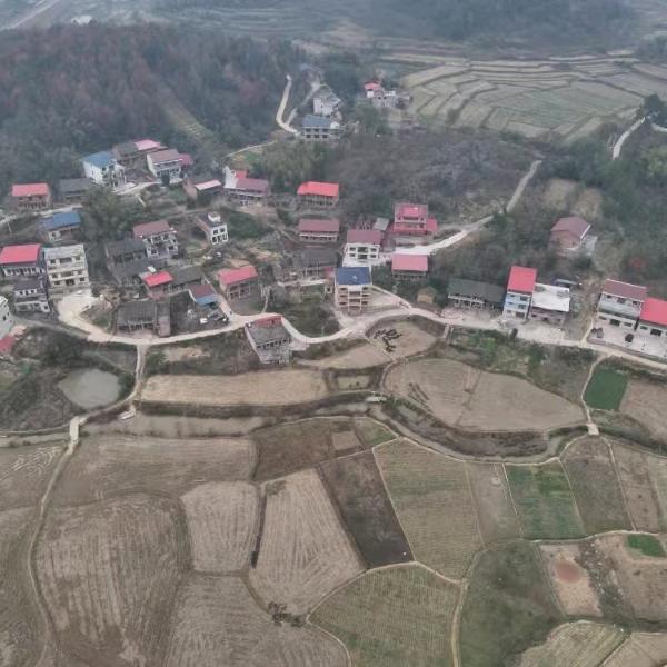 花开富贵，幸福一生，喜乐平安，阖家欢乐。