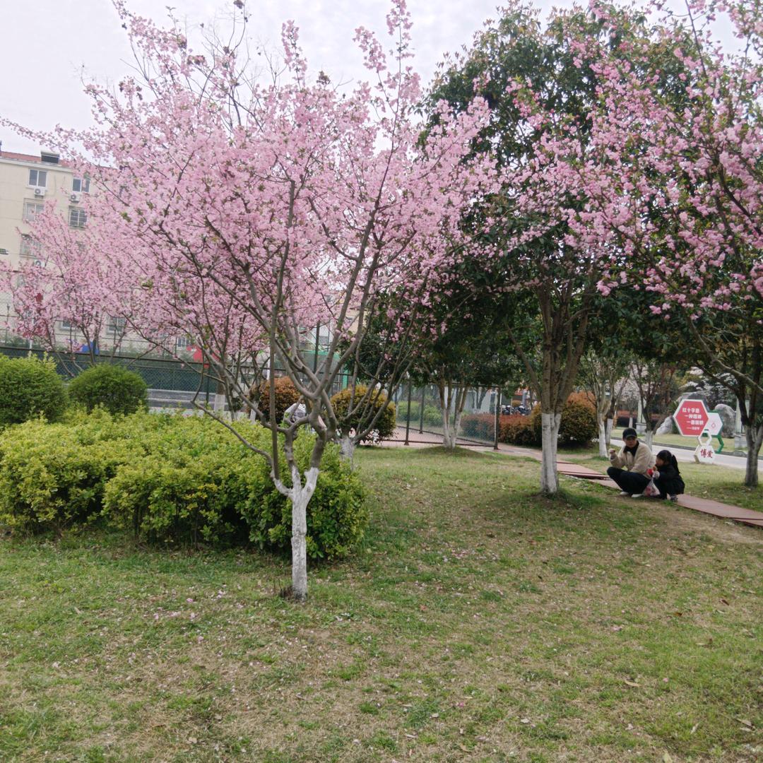张传刚