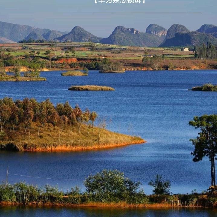 自己的路自己走