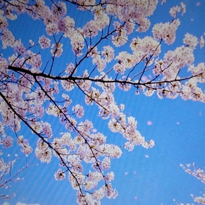 🇨🇳ྀྀྀ絶情風ི💫