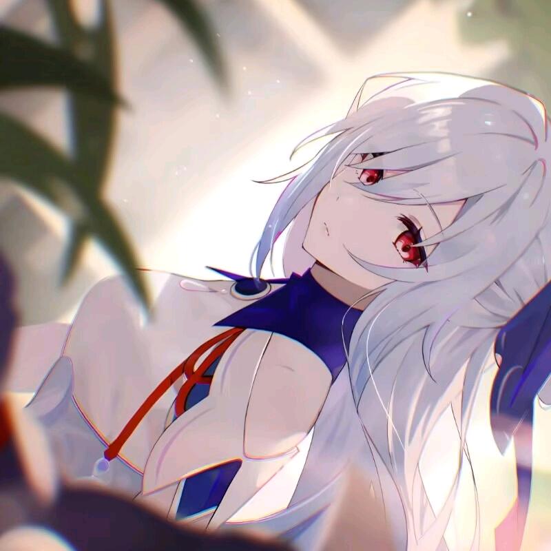 树枝666