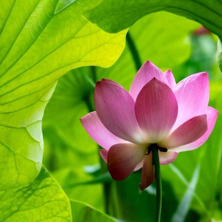 🐲大壮妈妈💫💫