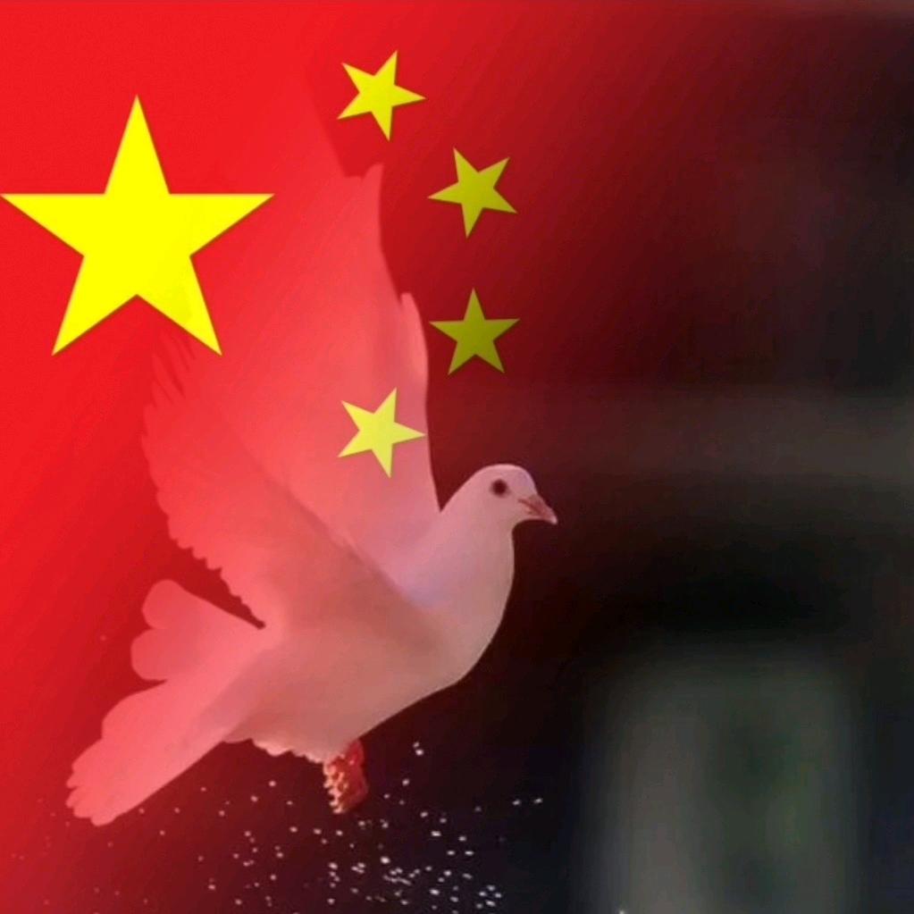 张教主～小院时光记