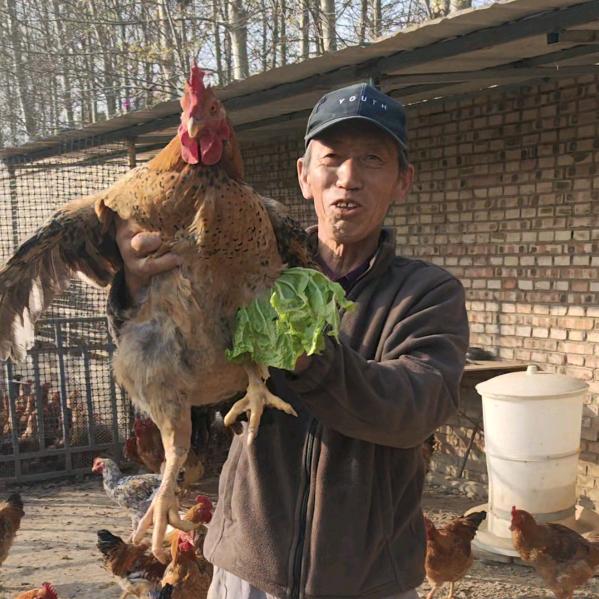 大同土鸡蛋老薛