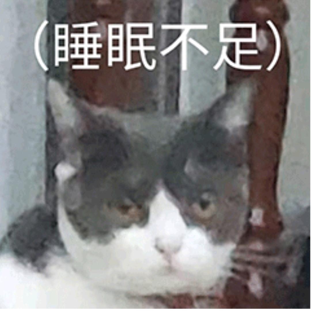足球先生⚽