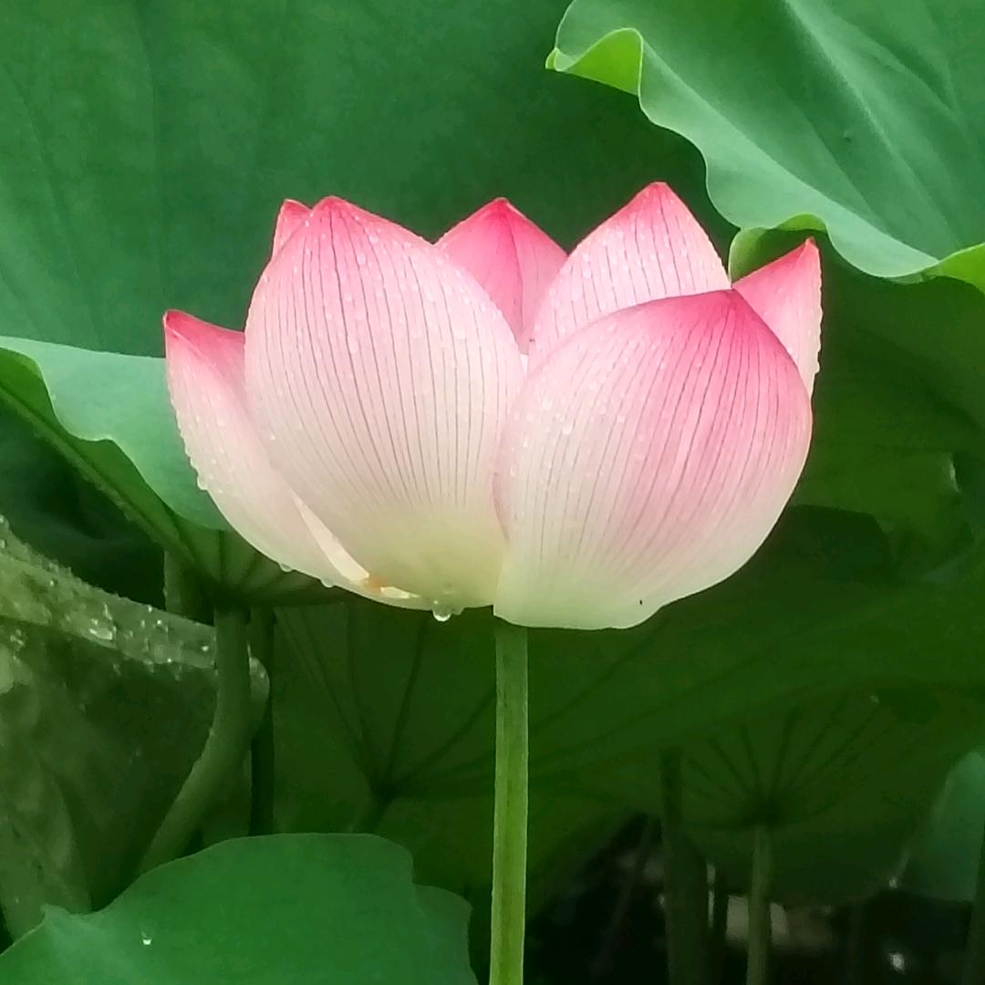 余生只为你一人（请勿打扰）
