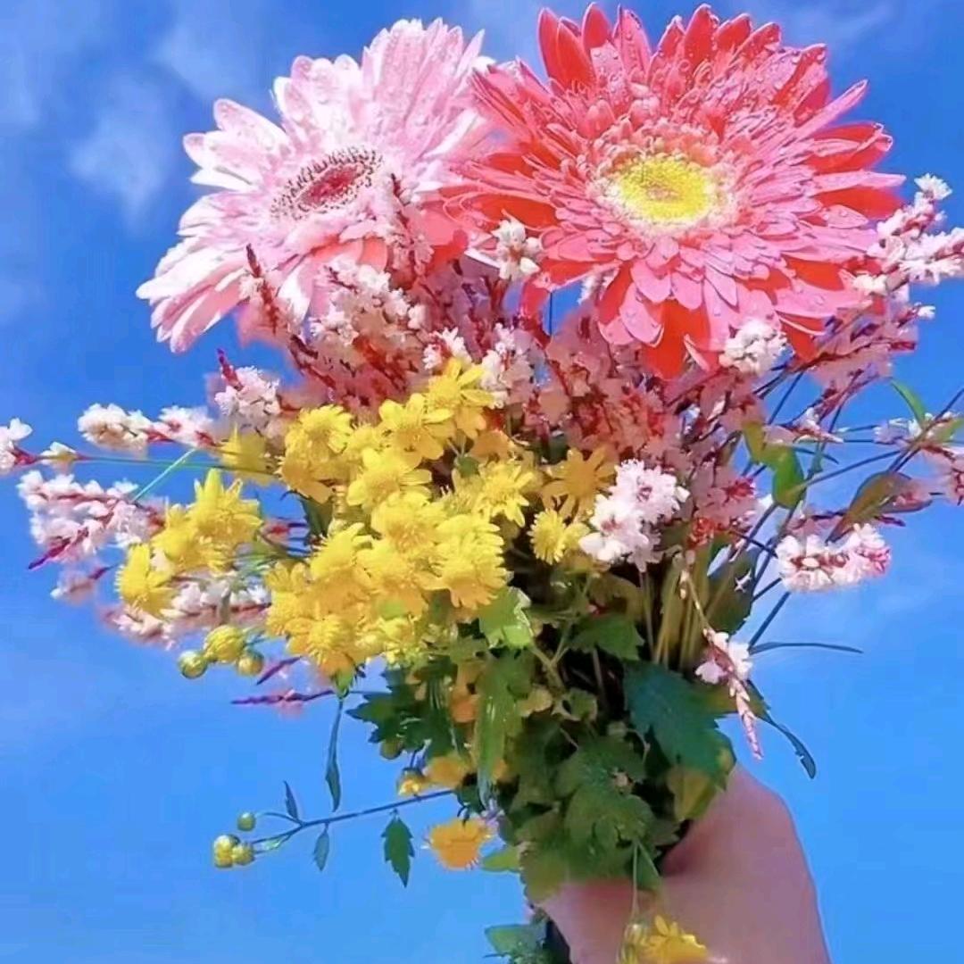 🌹玫瑰靓仔🌹