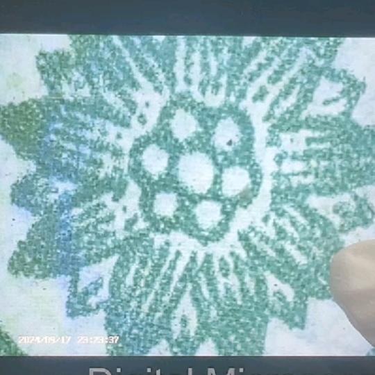 辛金收藏