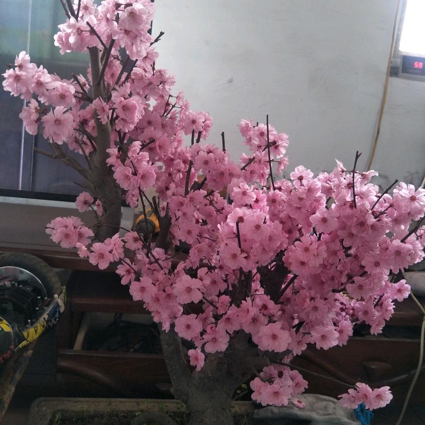 谁也不认识谁