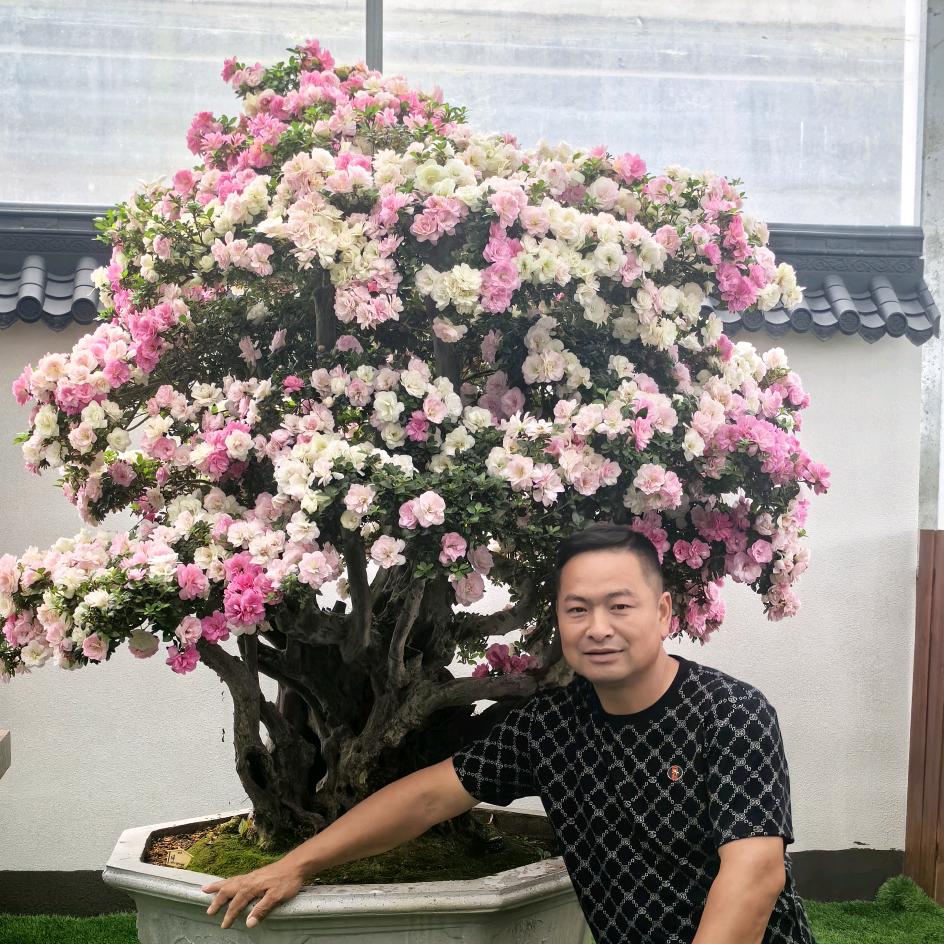 春欣园艺种植