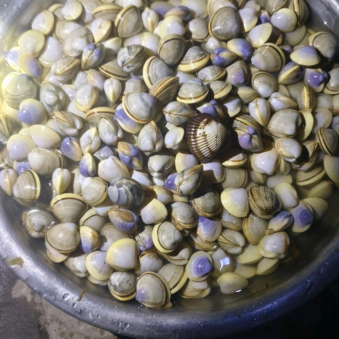 赶海老王玩梦幻