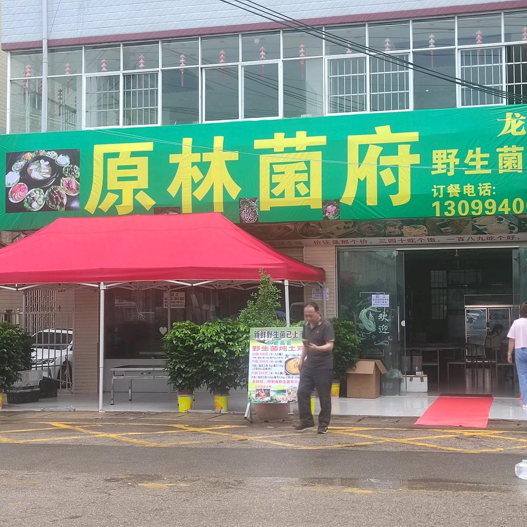 原林菌府（龙马店）