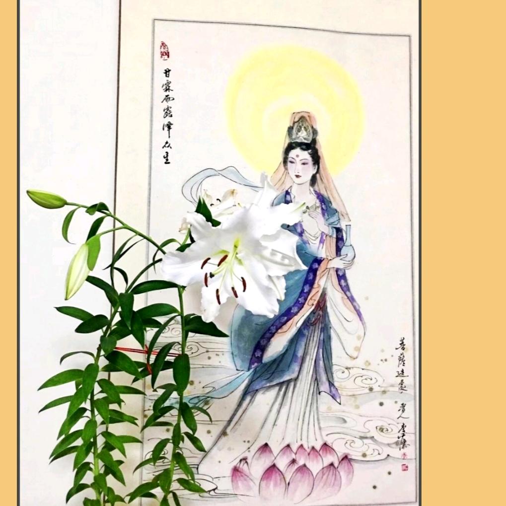 🈚️吾🍃