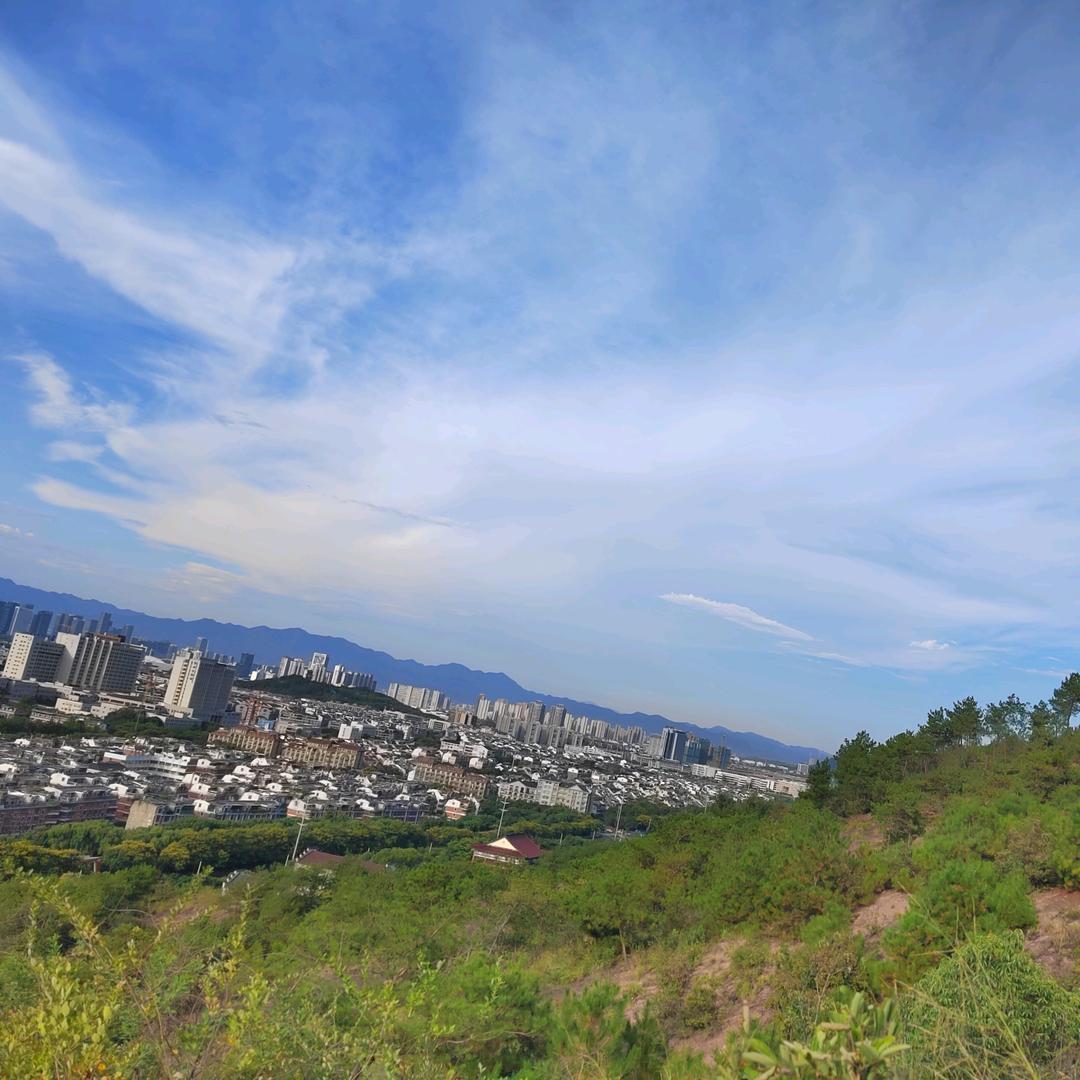 ღ᭄心无所依꧔ꦿ᭄🍁ꦿ໌