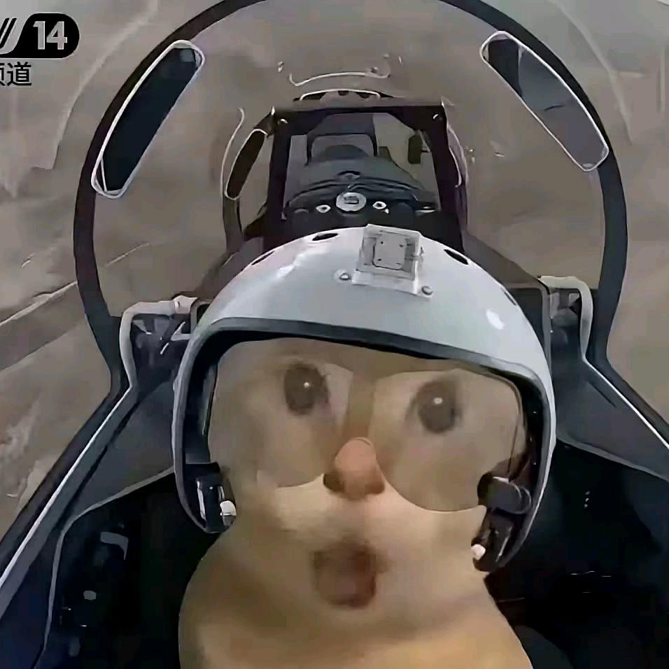 加纳没有纳（暗区突围）