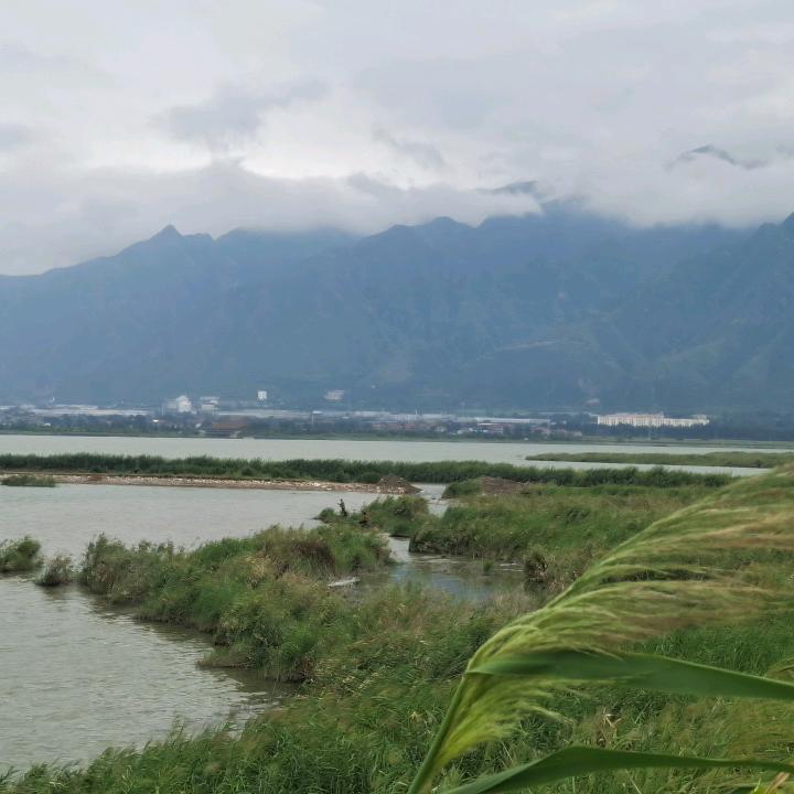 大观看蒲坂