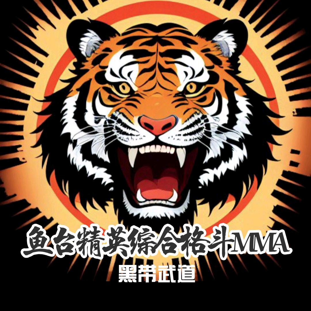 鱼台精英MMA综合格斗-黑带武道