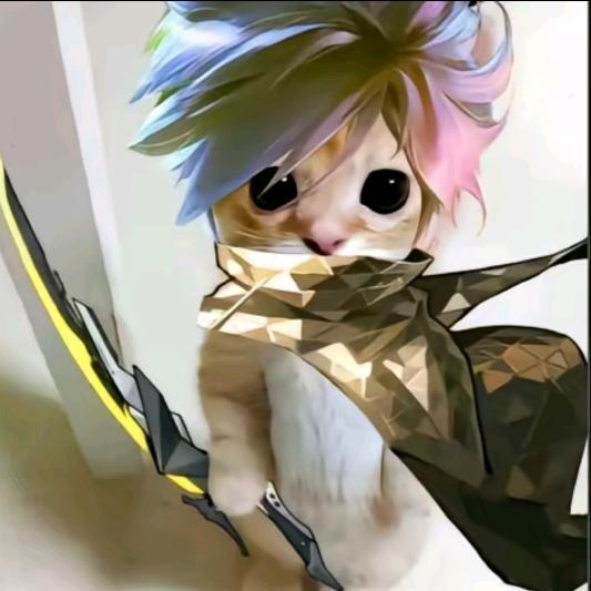 打遍天下无敌手