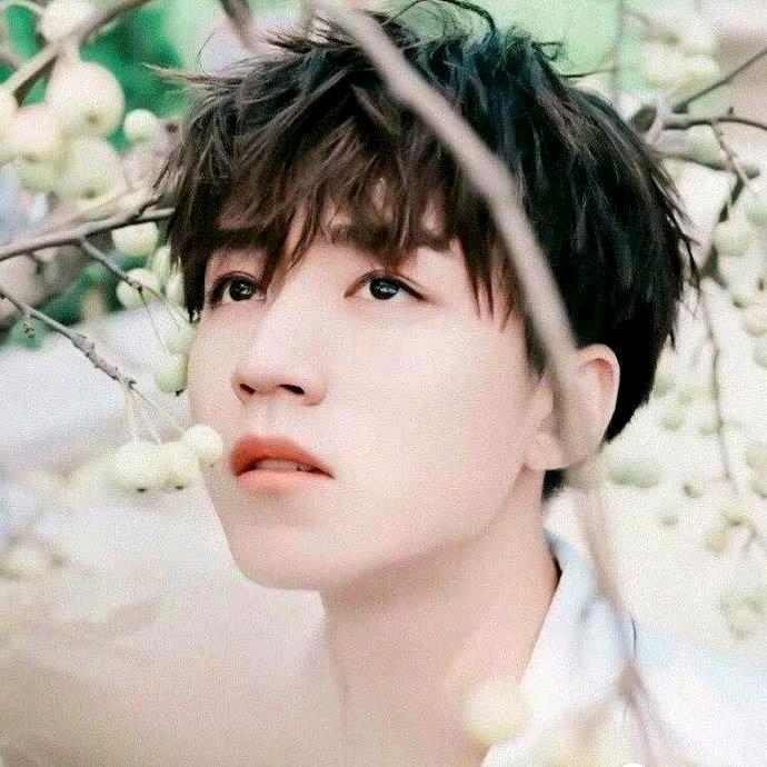 真爱一生，舒师傅，装修，单身