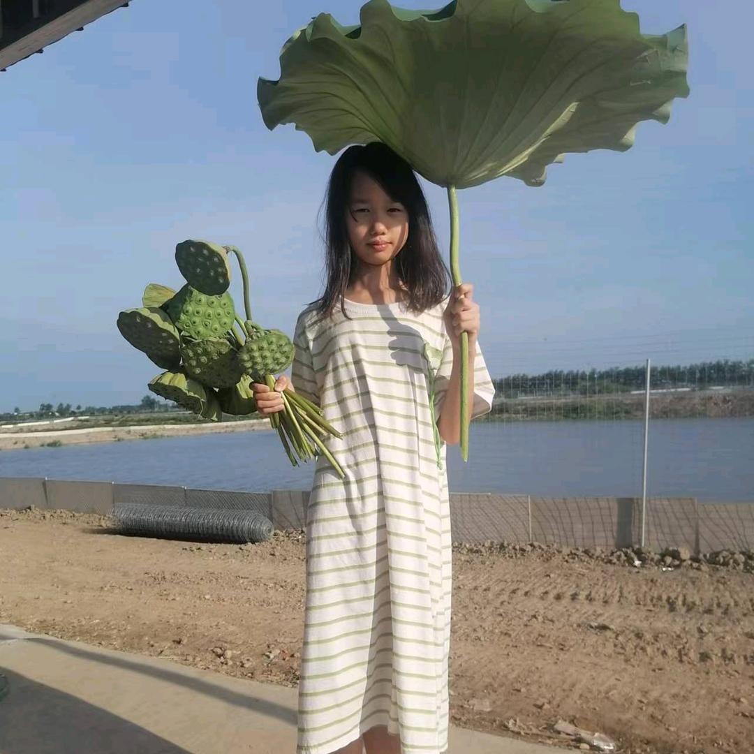 塘伯虎～记录农村生活