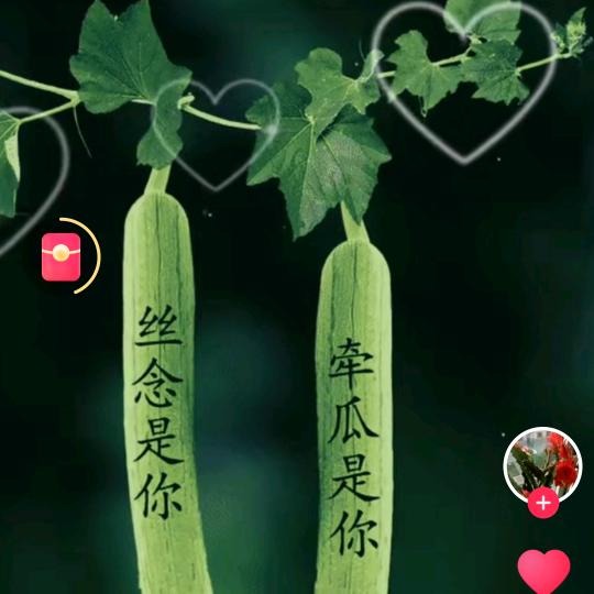 天天好