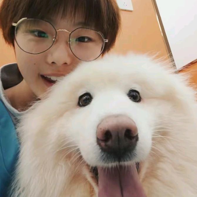 六一🐾见过刘德华版