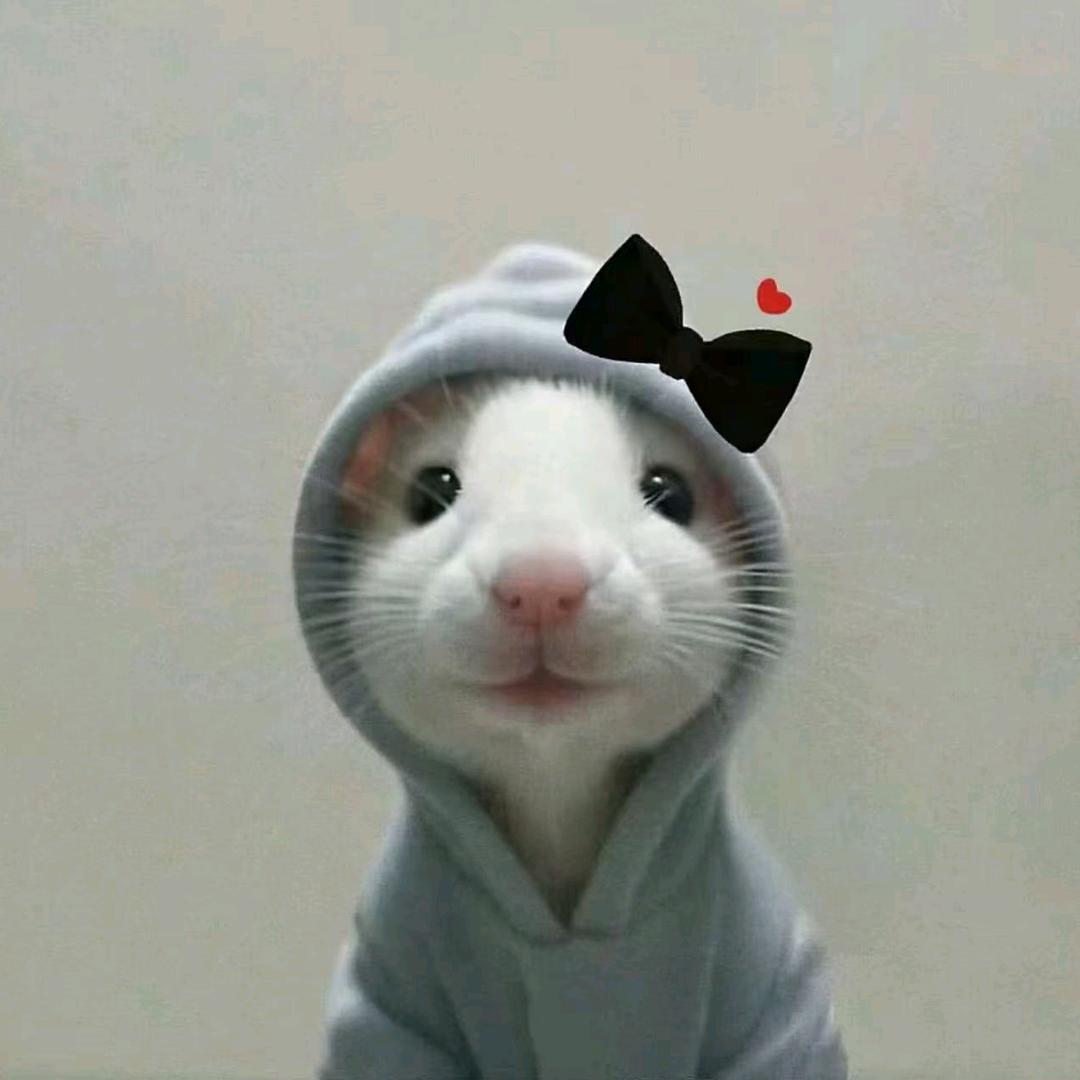 切