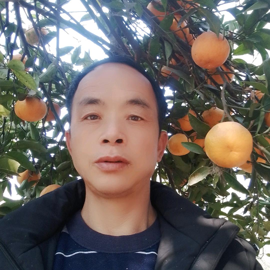 东搞西搞