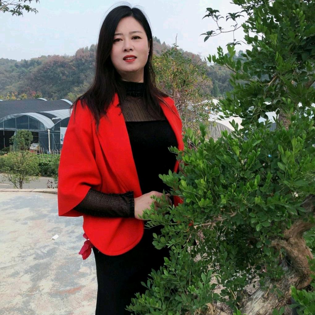 琼琼美玉，为你停刘🌹