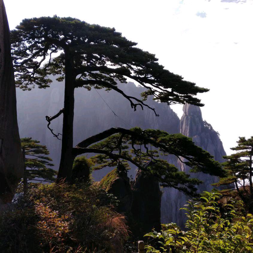 脚步赶得上野心。