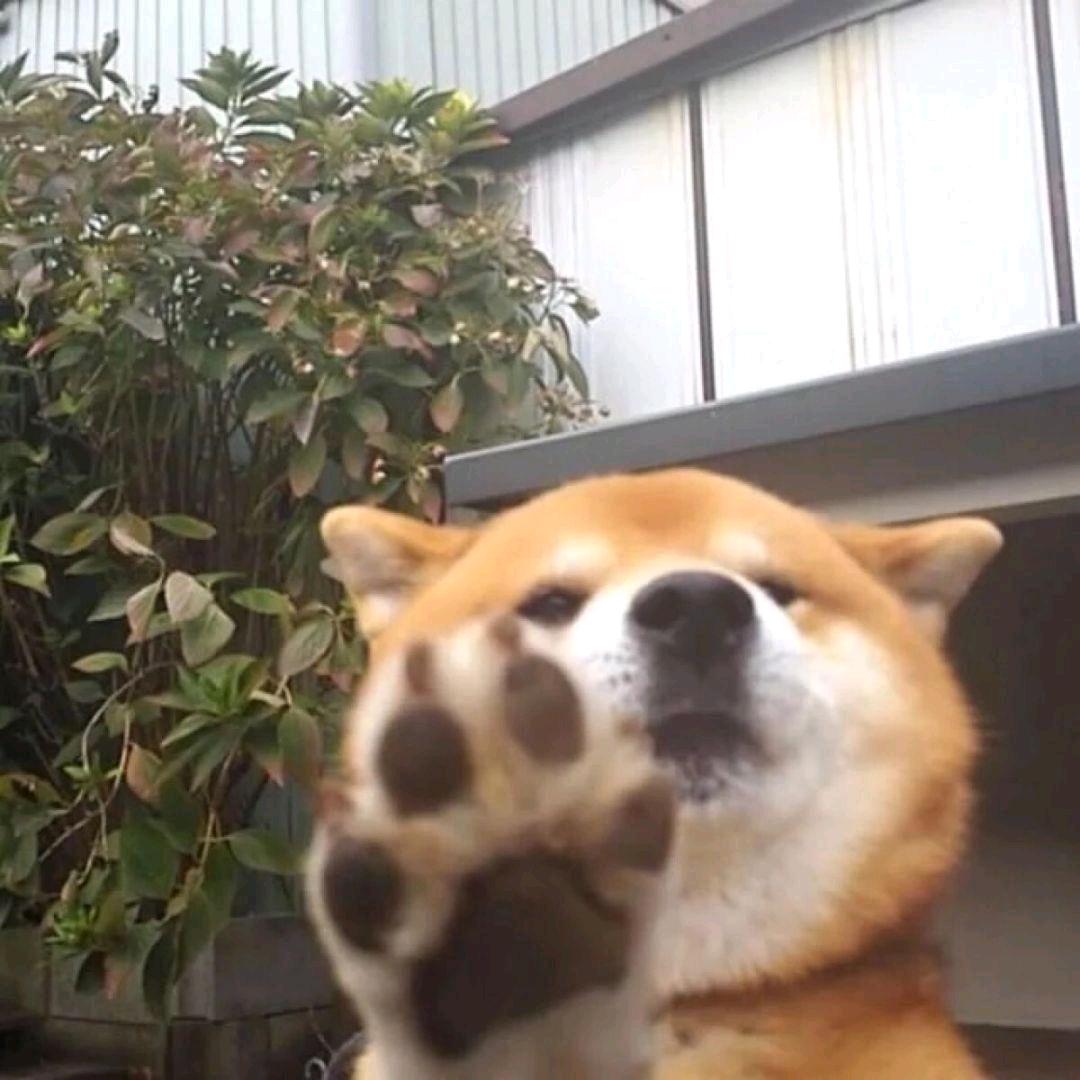猜忌